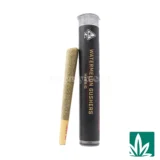 Big Tiger Pre-Roll (1g) - Watermelon Gushers