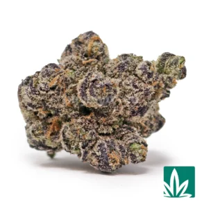 Bubblegum Gushers