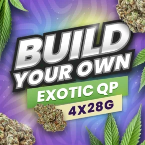 Build Your Own Exotic QP