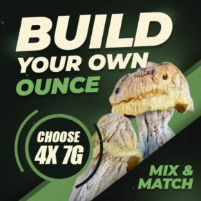 Build Your Own Shroom Oz
