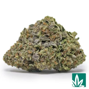 Gelato
