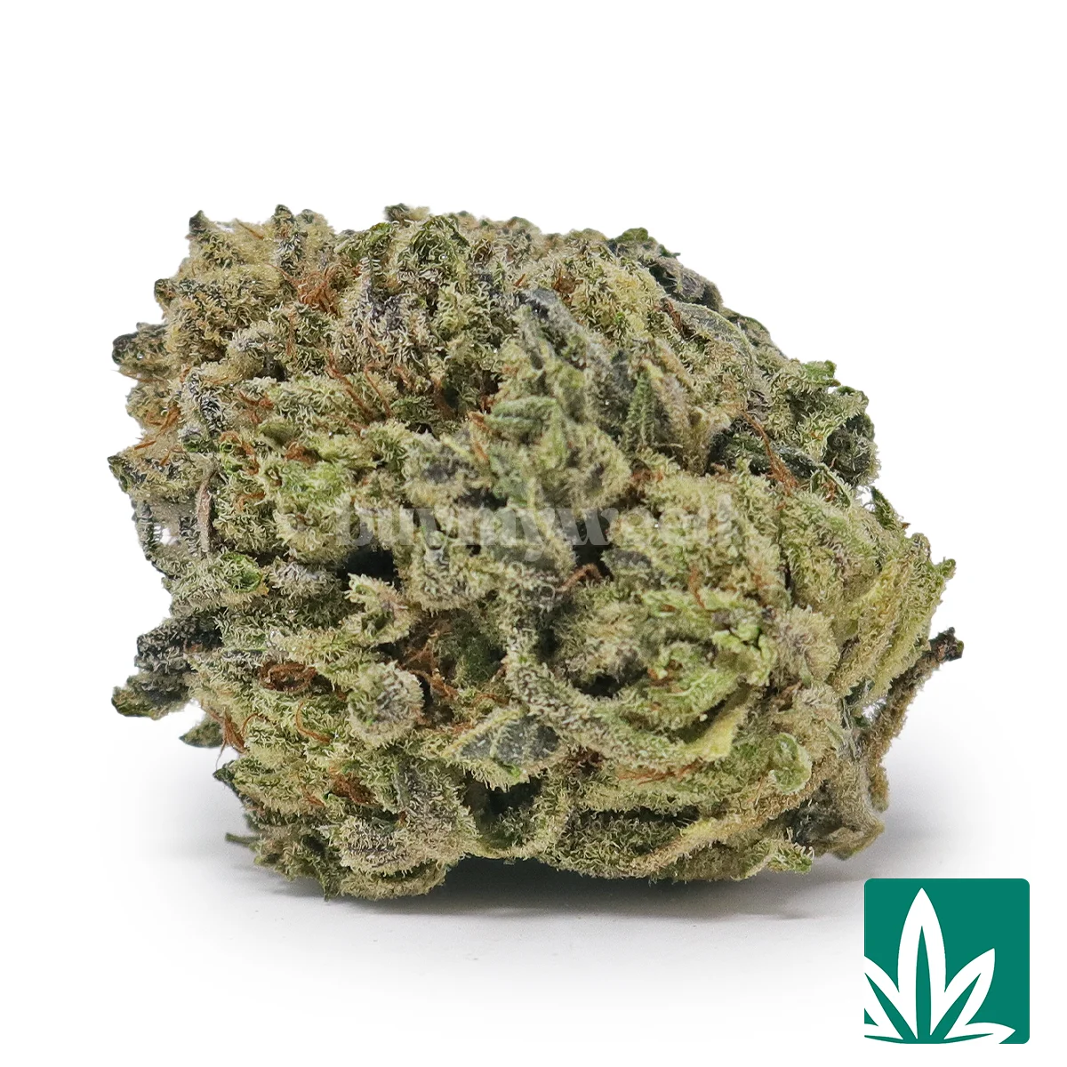 Georgia Kush
