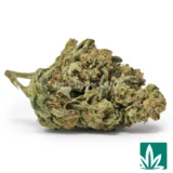 Lemon Cherry Gelato