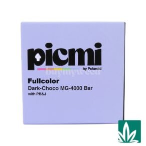 Picmi Chocolate (4g) - Dark Chocolate PB&J