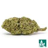 Rainbow Kush