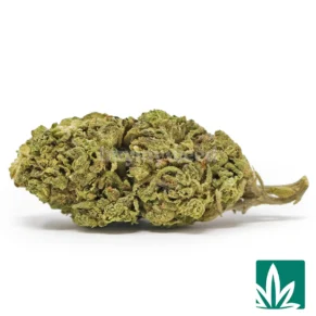 Rainbow Kush