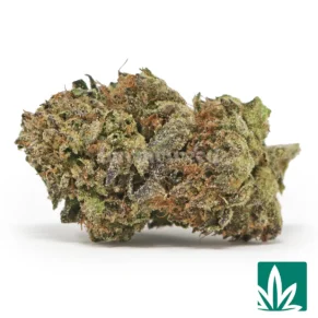 Rainbow Sherbert