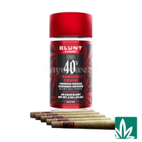 STZY .5G 40's Infused Mini Blunts 5 Pack (2.5g) - Strawberry Cough