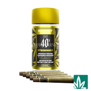 STZY .5G 40's Infused Mini Blunts 5 Pack (2.5g) - Strawnana
