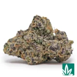 White Cherry Gelato