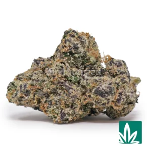 White Cherry Gelato